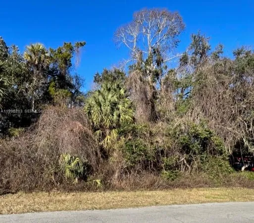 $9,088 | 11147 West State Park Street, Crystal River, FL 34428