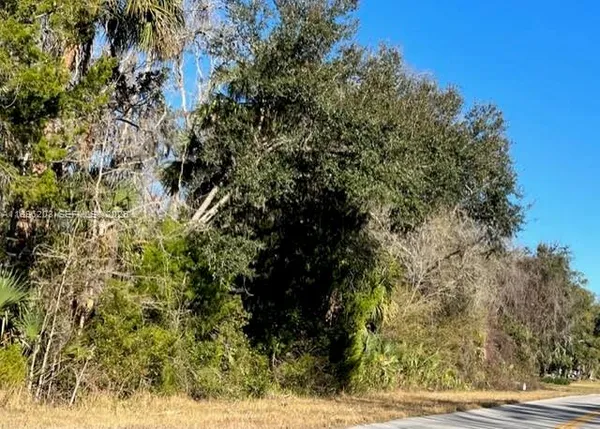 $9,088 | 11147 West State Park Street, Crystal River, FL 34428