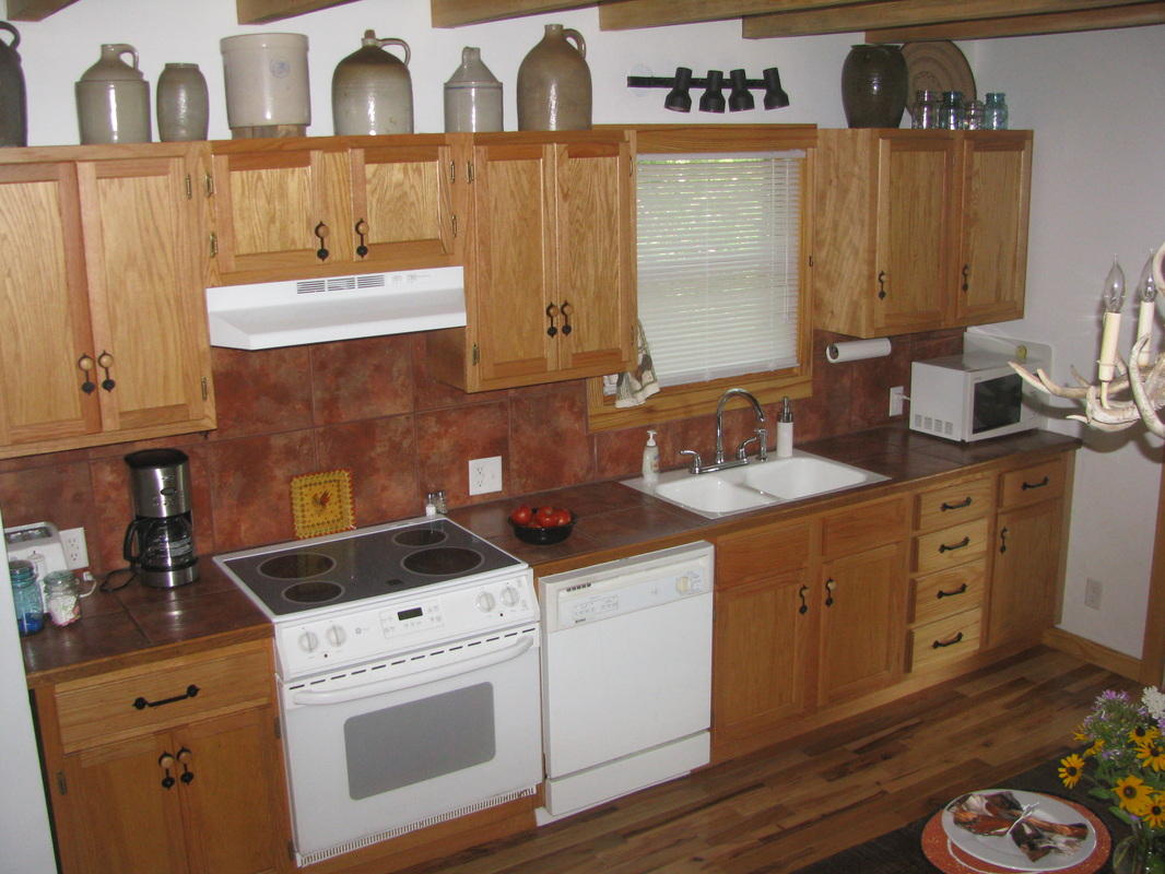 1199 Moon Lake Road Cloudland, GA 30731 - Photo 16 of 18 Kitchen