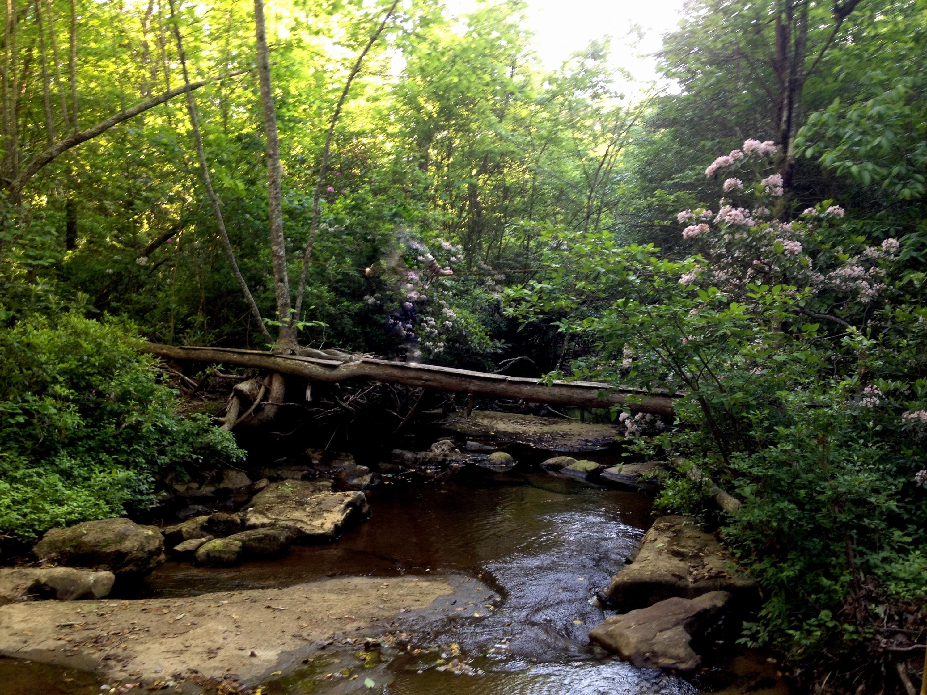 1199 Moon Lake Road Cloudland, GA 30731 - Photo 18 of 18 Parcel 3 log over creek revised