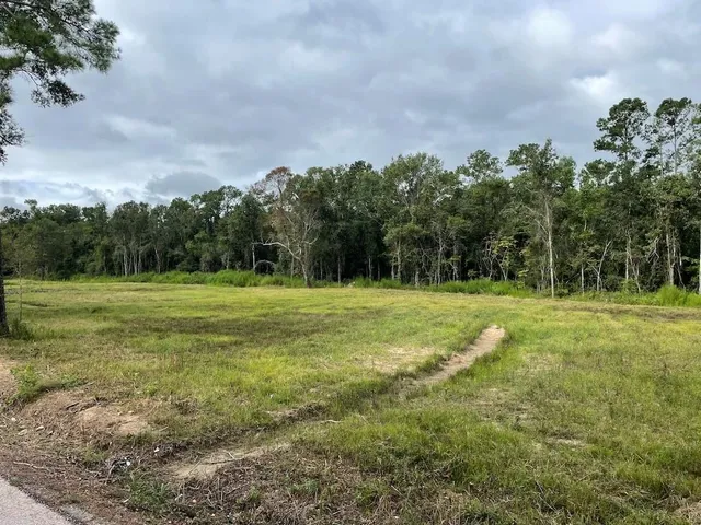 $25,900 | Hickory Flat Road, Kinder, LA 70648