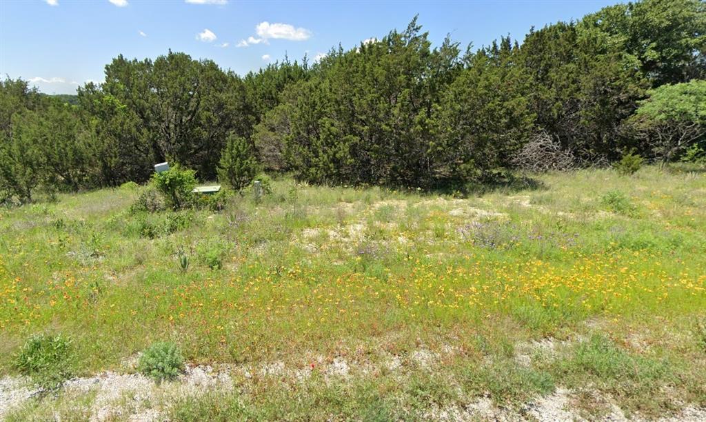 512 Anglers Ridge Bluff Dale, TX 76433 - Photo 2 of 5