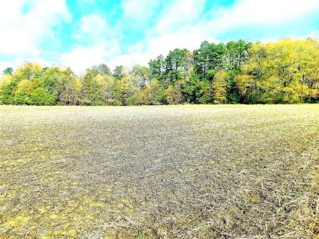 Tbd Tbd Russell Pope Road Wingate, NC 28174 - Photo 11 of 11 a view of an ocean