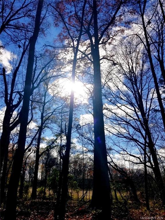Tbd Tbd Russell Pope Road Wingate, NC 28174 - Photo 3 of 11