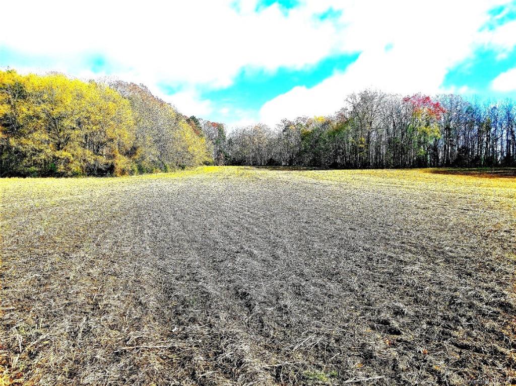 Tbd Tbd Russell Pope Road Wingate, NC 28174 - Photo 10 of 11 a view of an ocean