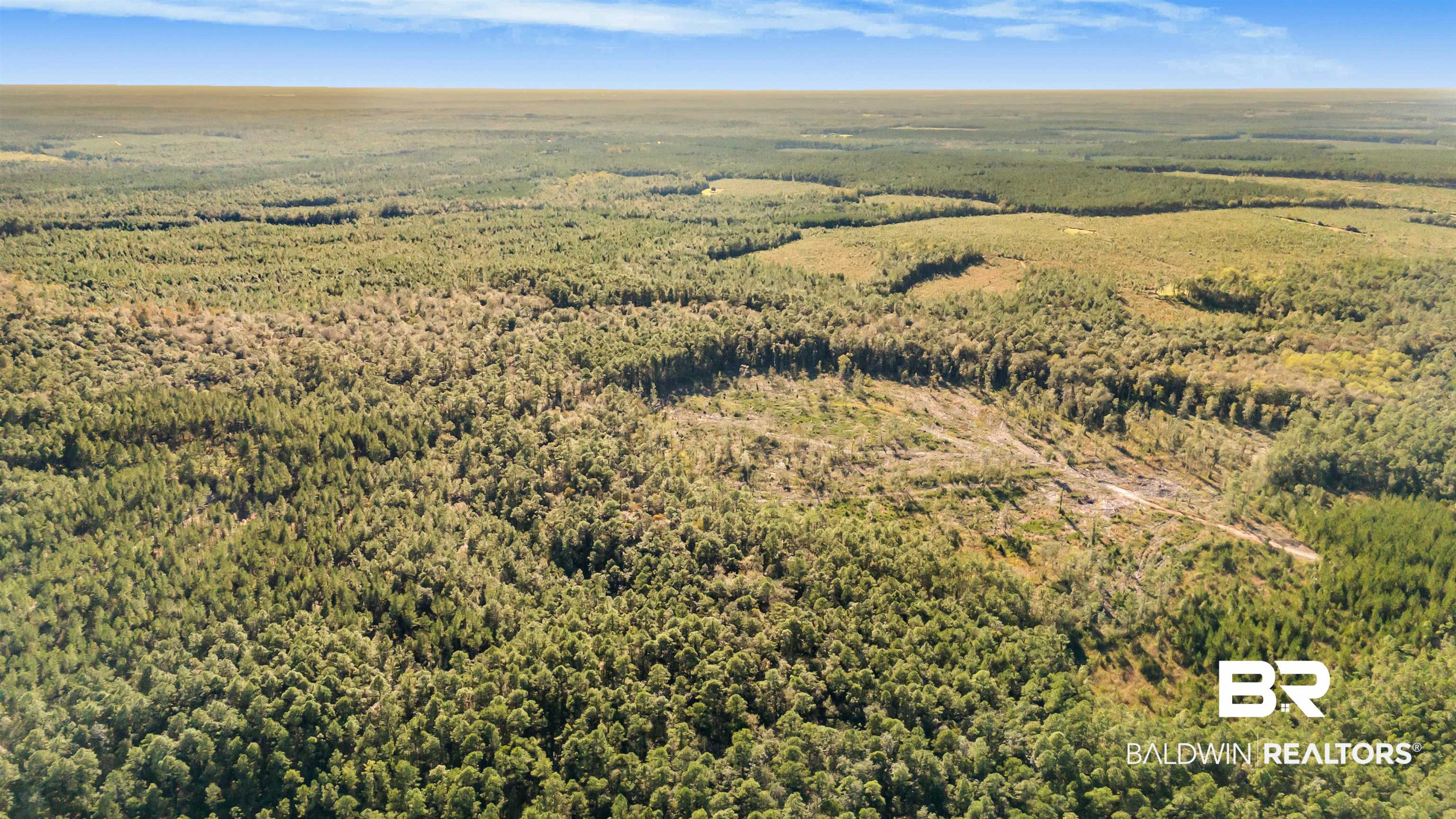 0 County Road 112 Robertsdale, AL 36567 - Photo 22 of 33 Bird's eye view