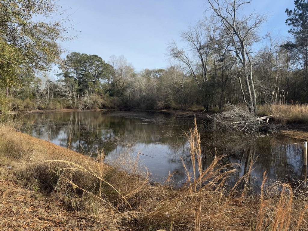 209 Pond View Lane Opp, AL 36467 - Photo 19 of 28