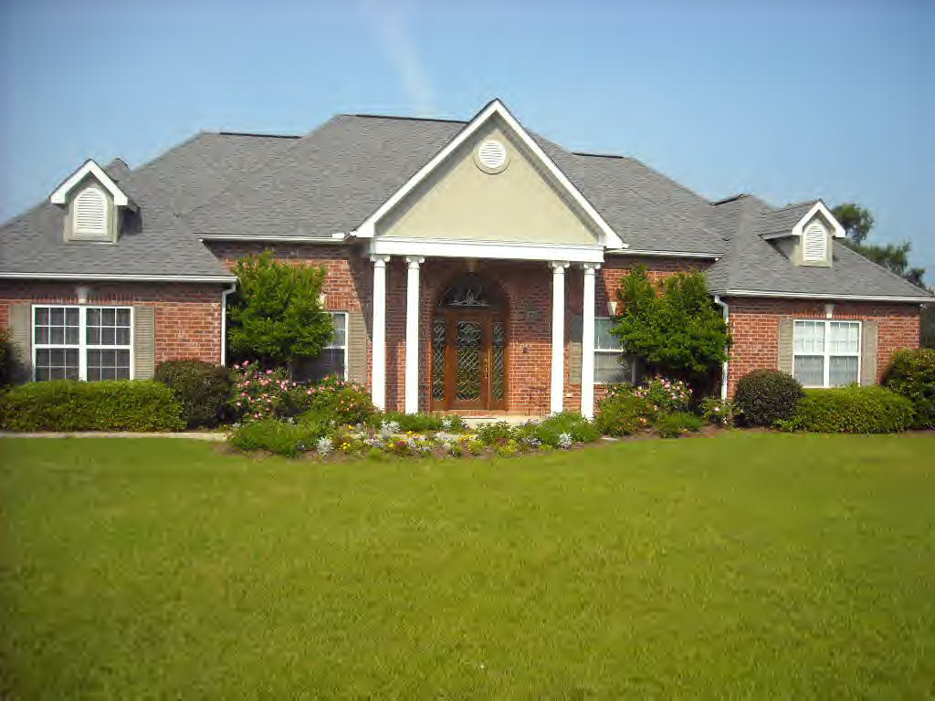 Main View