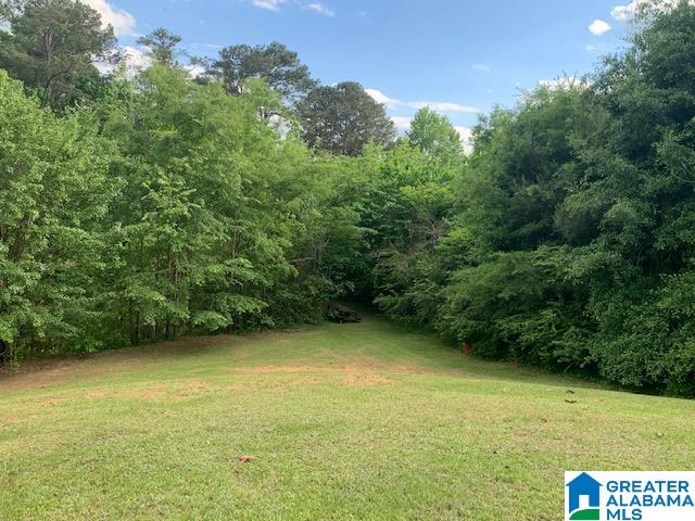 3335 Hilltop Road Southeast Bessemer, AL 35022 - Photo 5 of 7