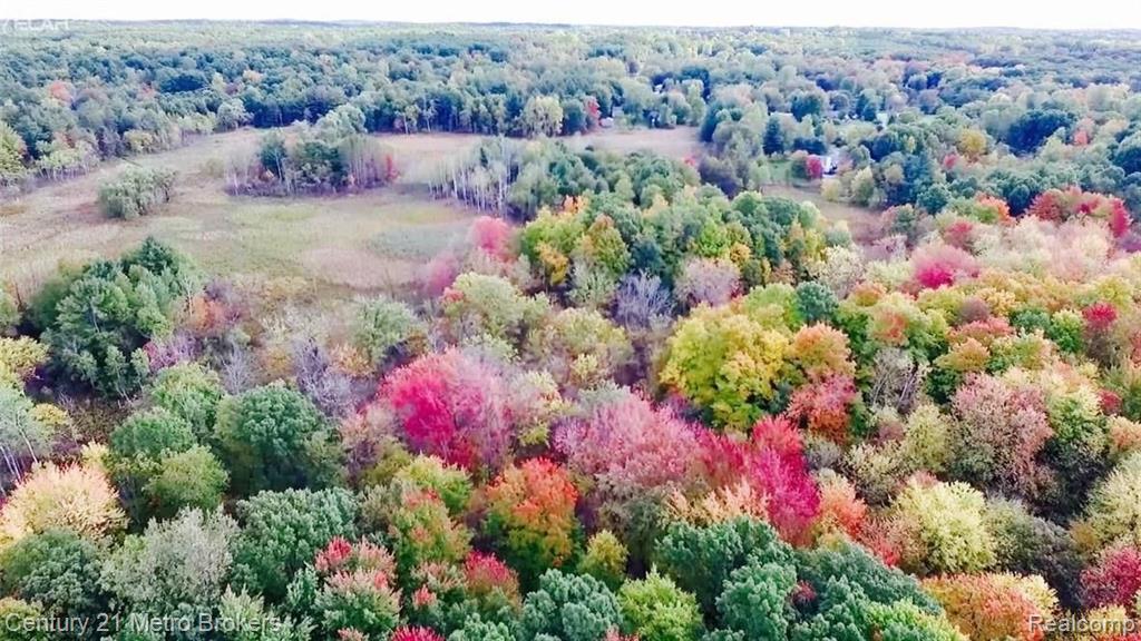 0 Hunters Ridge Drive Ortonville, MI 48462 - Photo 17 of 28