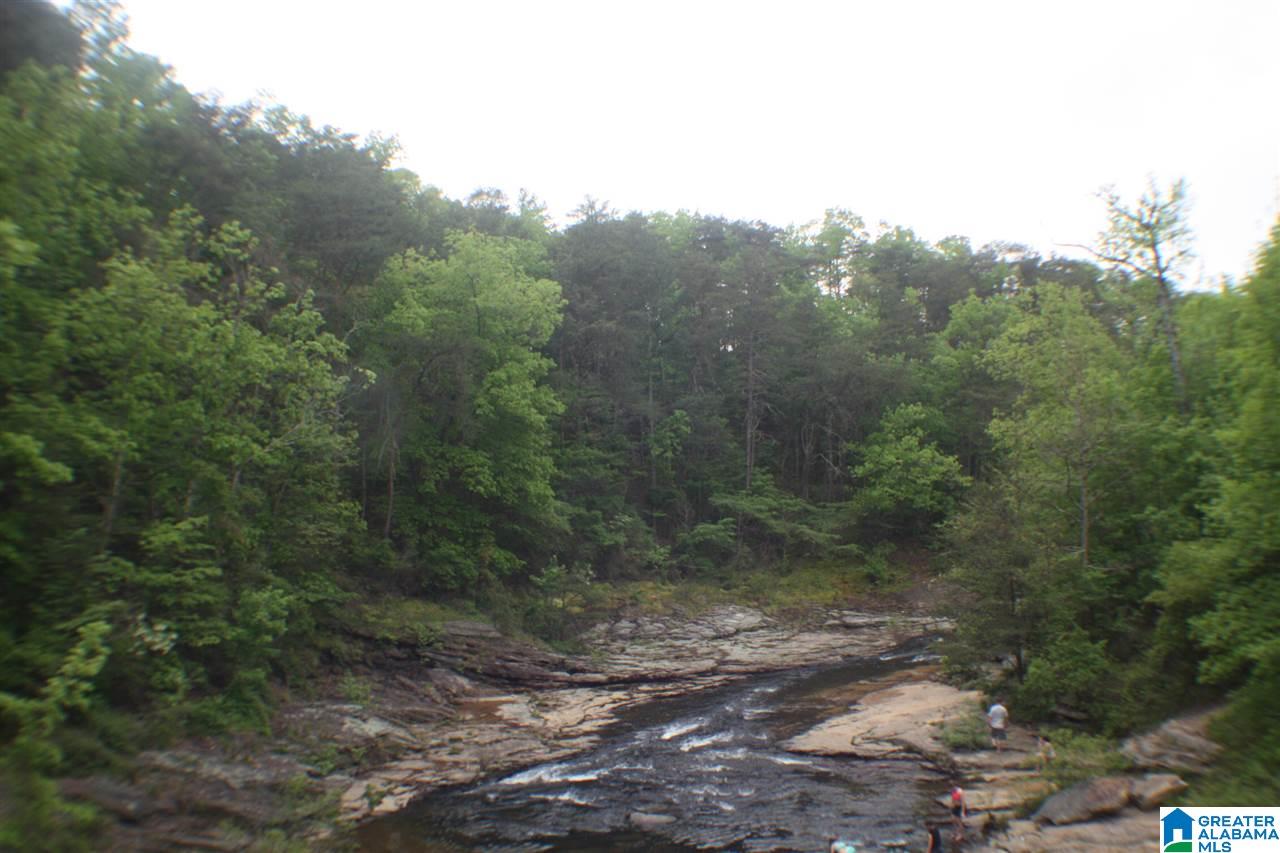 5915 County Road 275 Fort Payne, AL 35967 - Photo 22 of 22