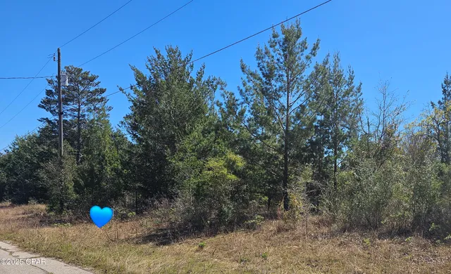 $9,900 | Lot 3 Hague Lane, Unit 1, Chipley, FL 32428