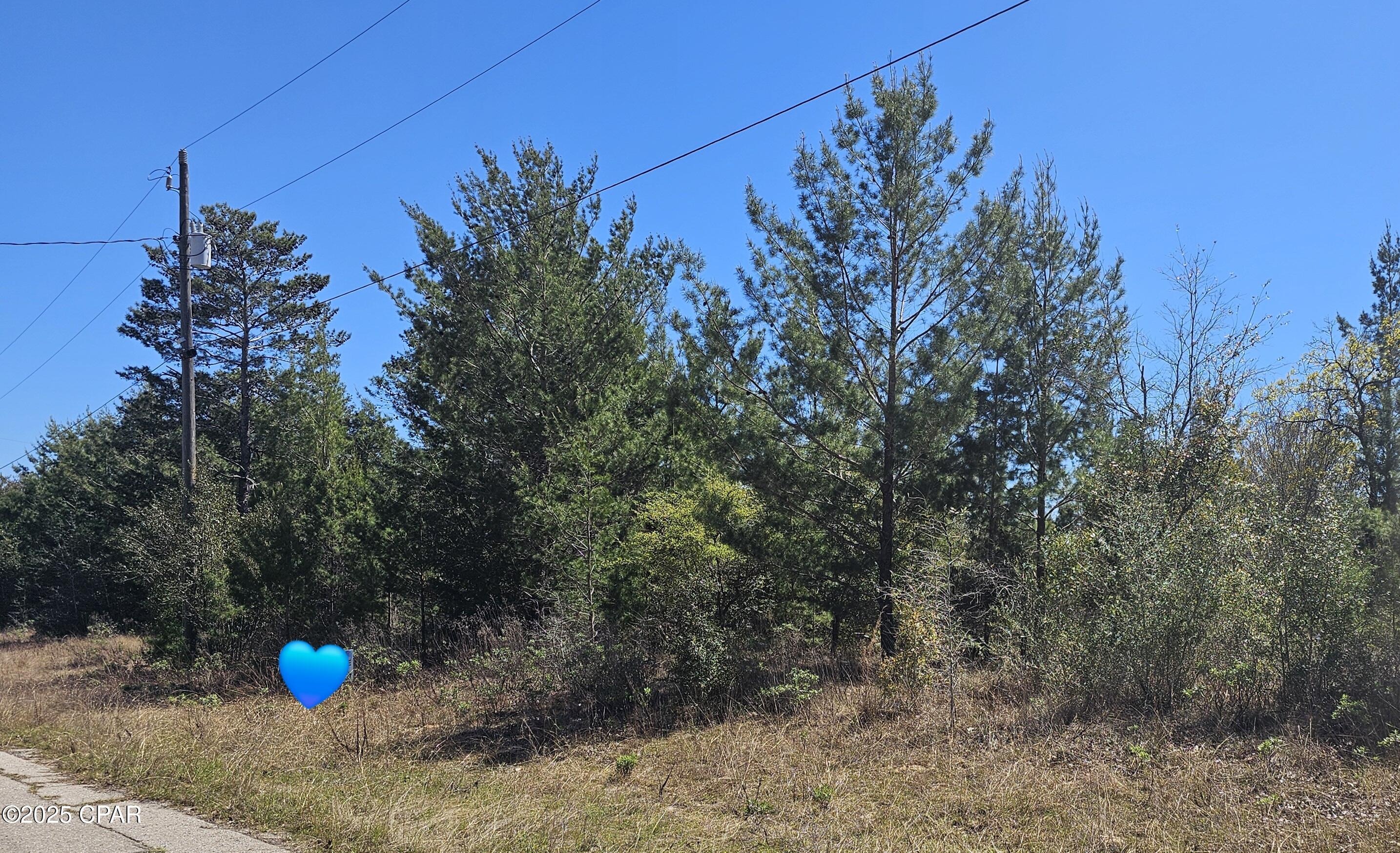 Lot 3 Hague Lane, Unit 1 Chipley, FL 32428 - Photo 3 of 18