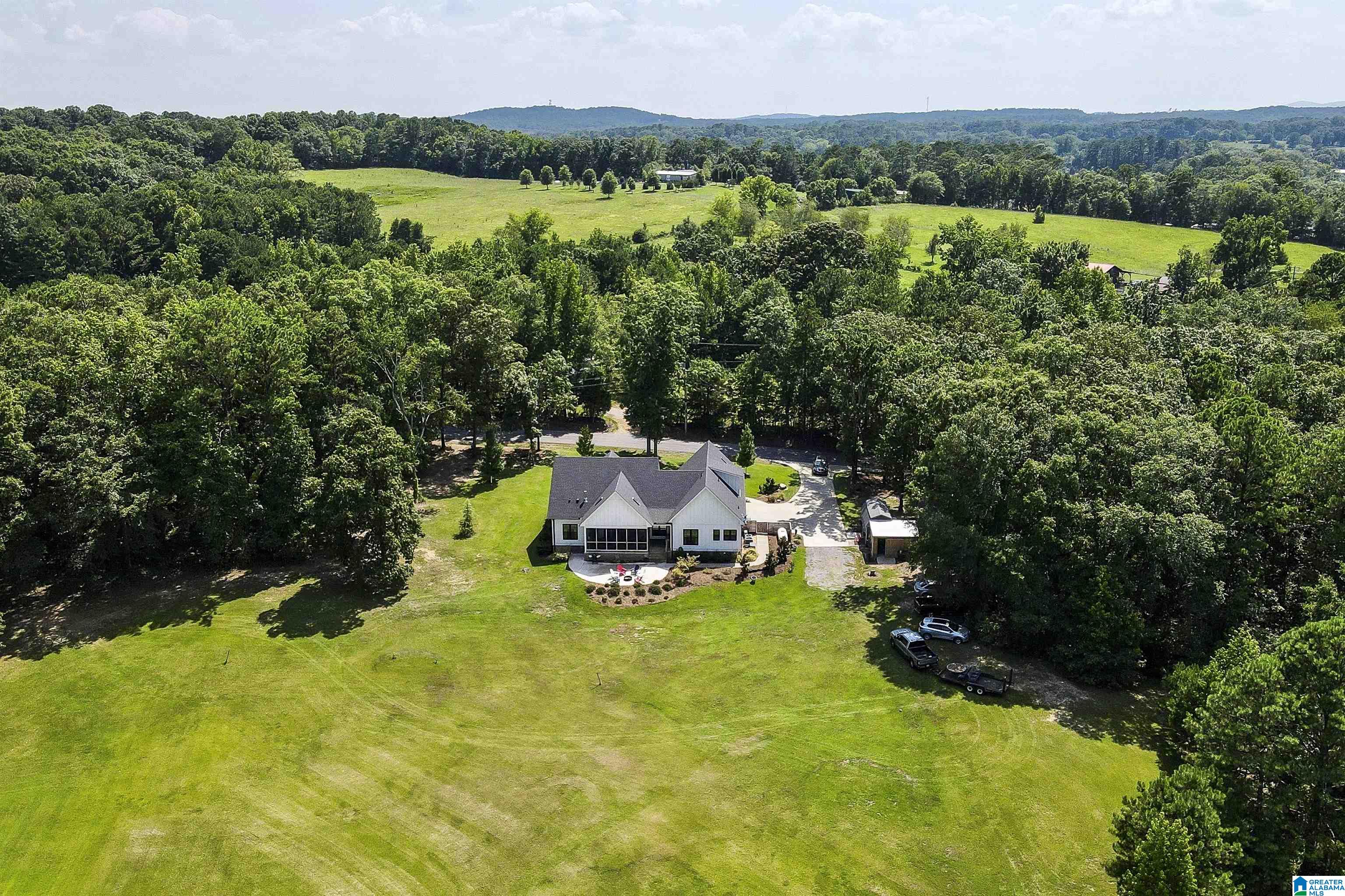 435 Treasure Island Road Cropwell, AL 35054 - Photo 71 of 78