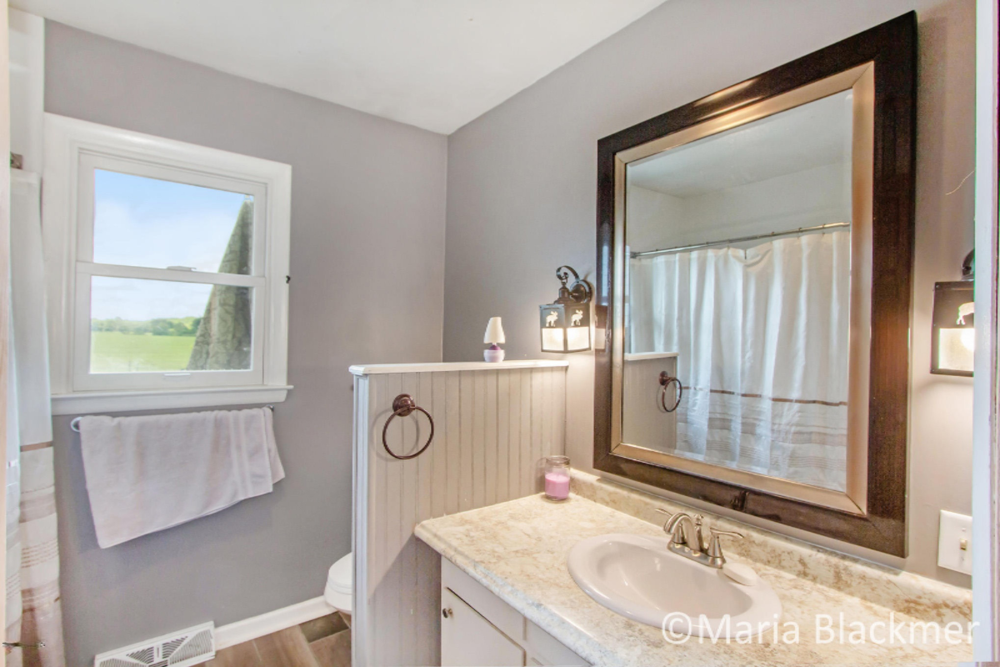 8349 Borden Road Muir, MI 48860 - Photo 25 of 35 IMG_2224-
