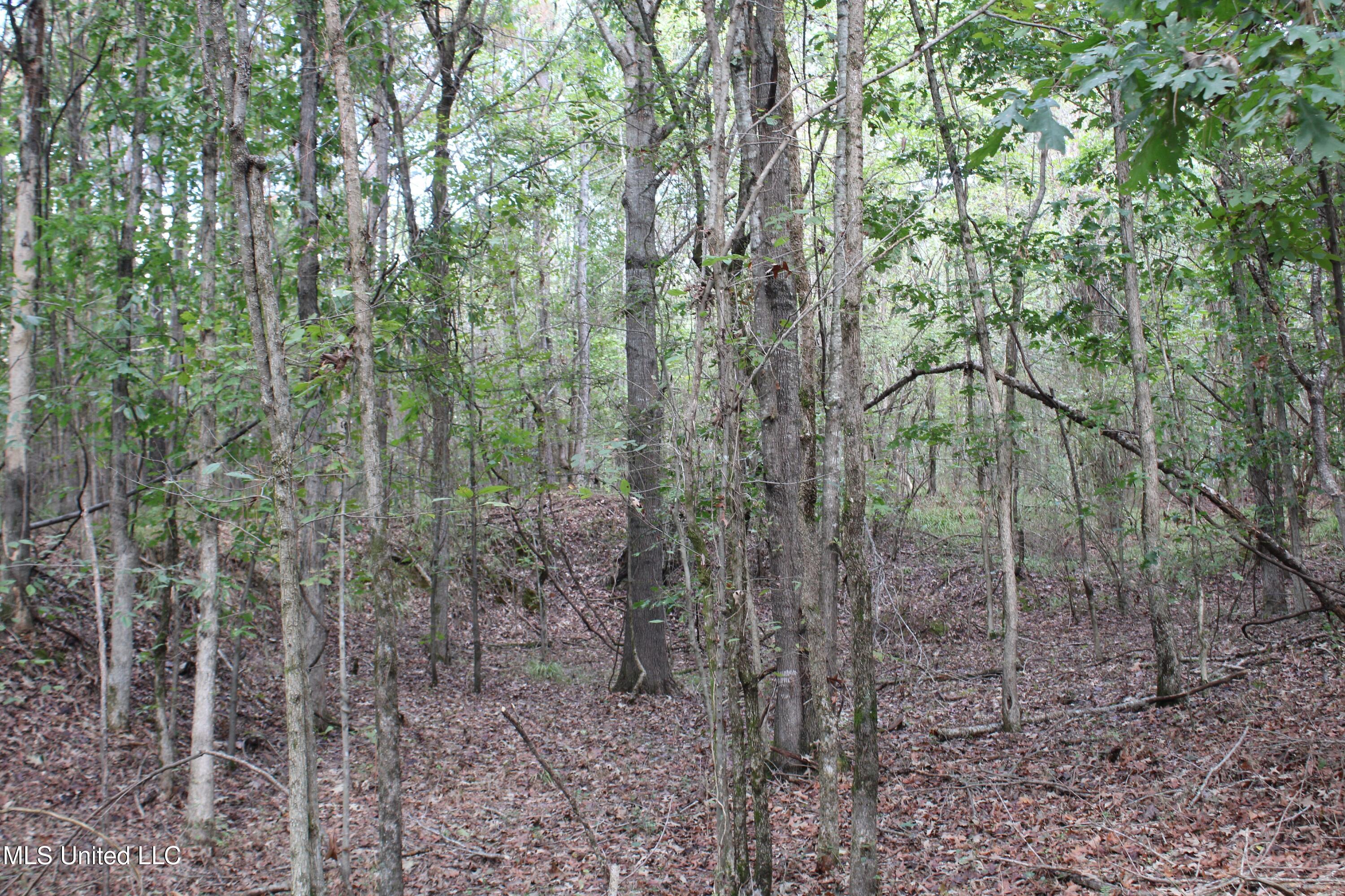 2 Byhalia Road Byhalia, MS 38611 - Photo 14 of 15 IMG_6805