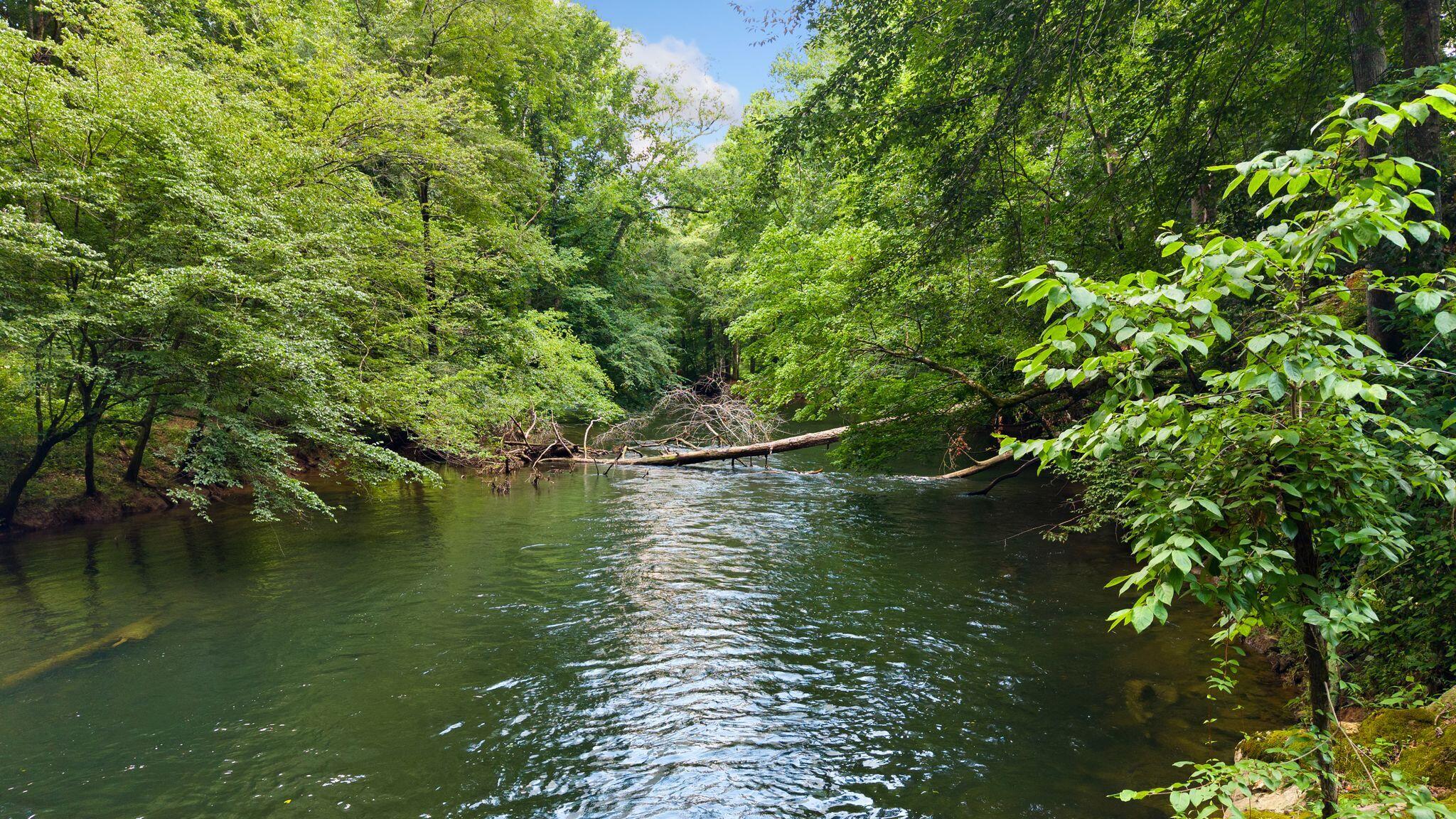 800 Reynolds Bridge Road Benton, TN 37307 - Photo 50 of 57 50_53
