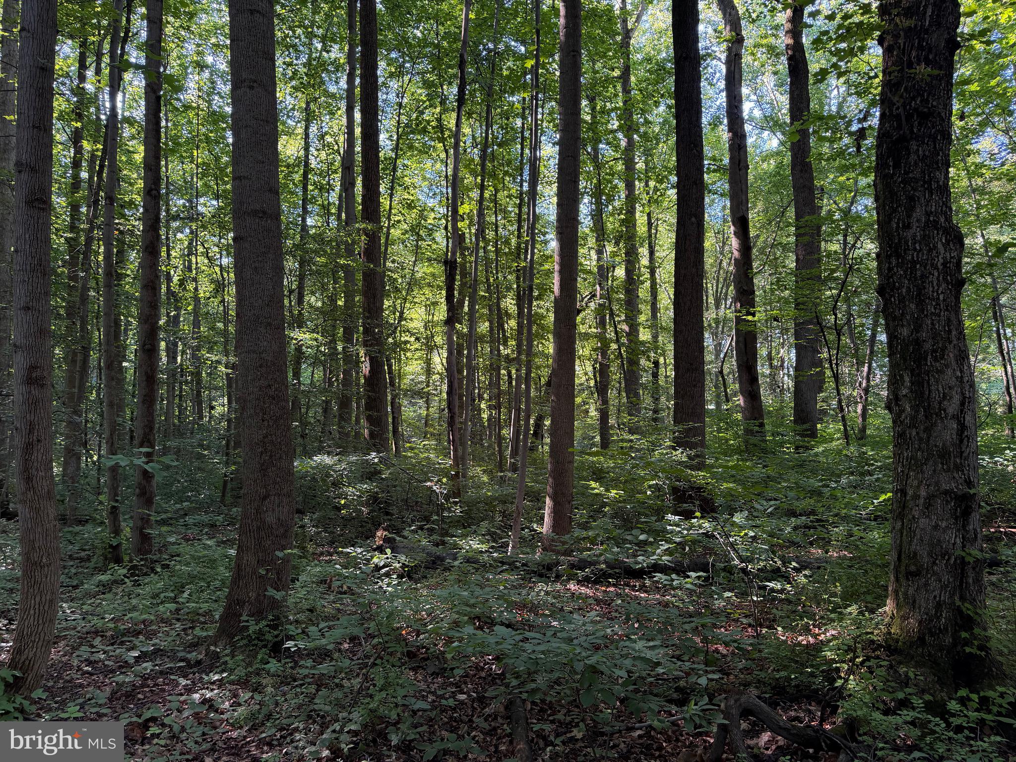 0 Rock Springs Road Conowingo, MD 21918 - Photo 73 of 79