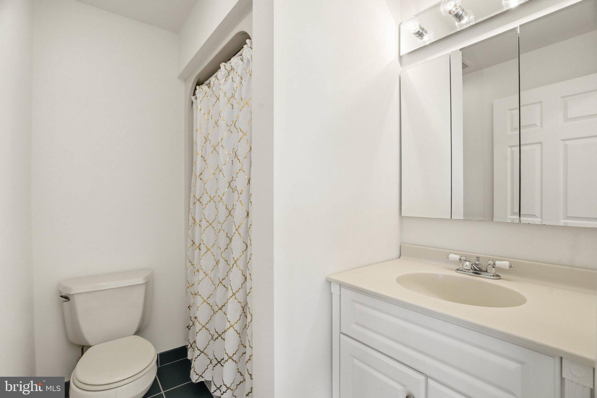 1100 River Bay Road Annapolis, MD 21409 - Photo 39 of 67 a bathroom with a sink a toilet and shower