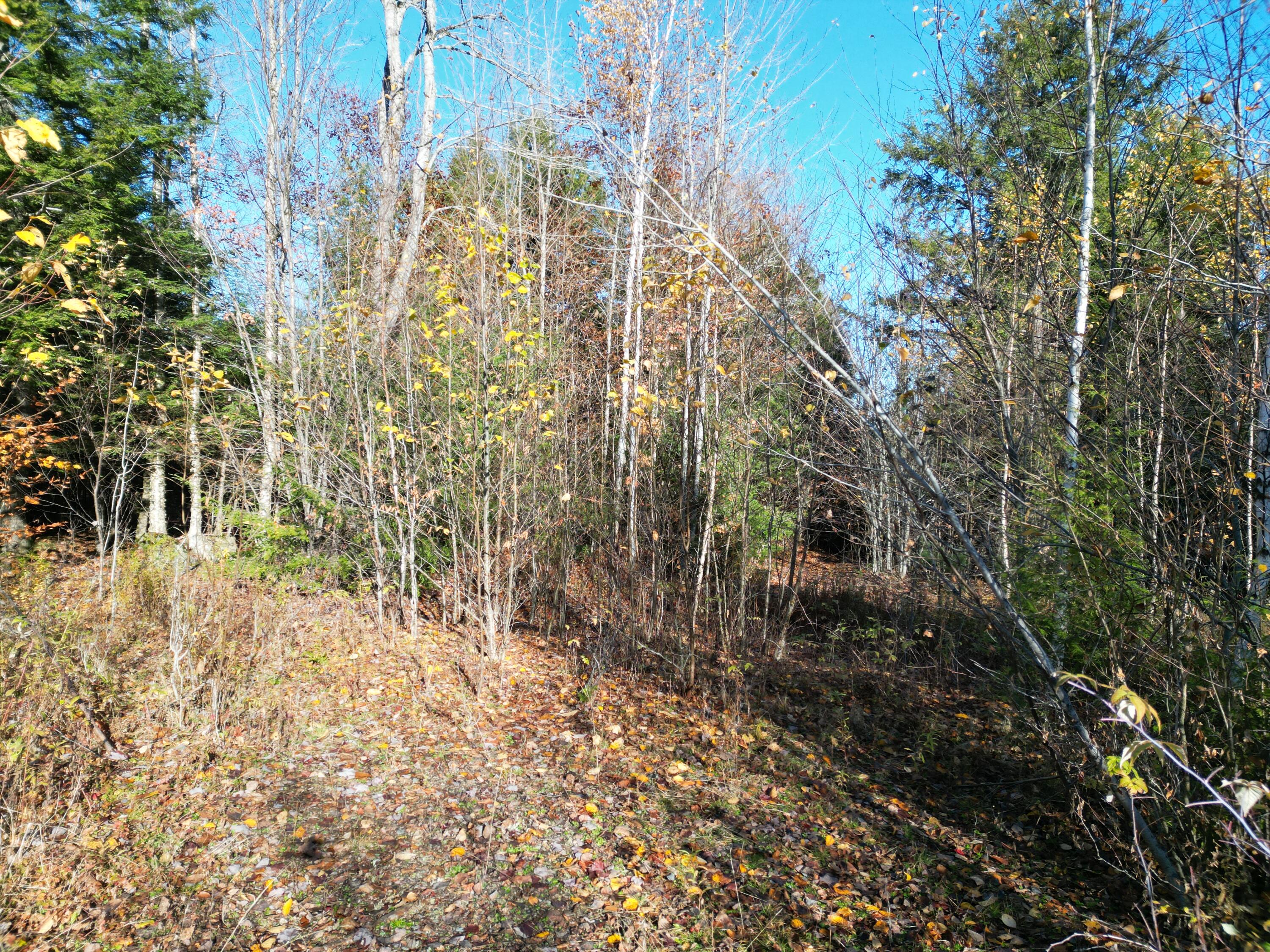 Lot 18-1 Mattamiscontis Road Howland, ME 04448 - Photo 4 of 16 DJI_0083