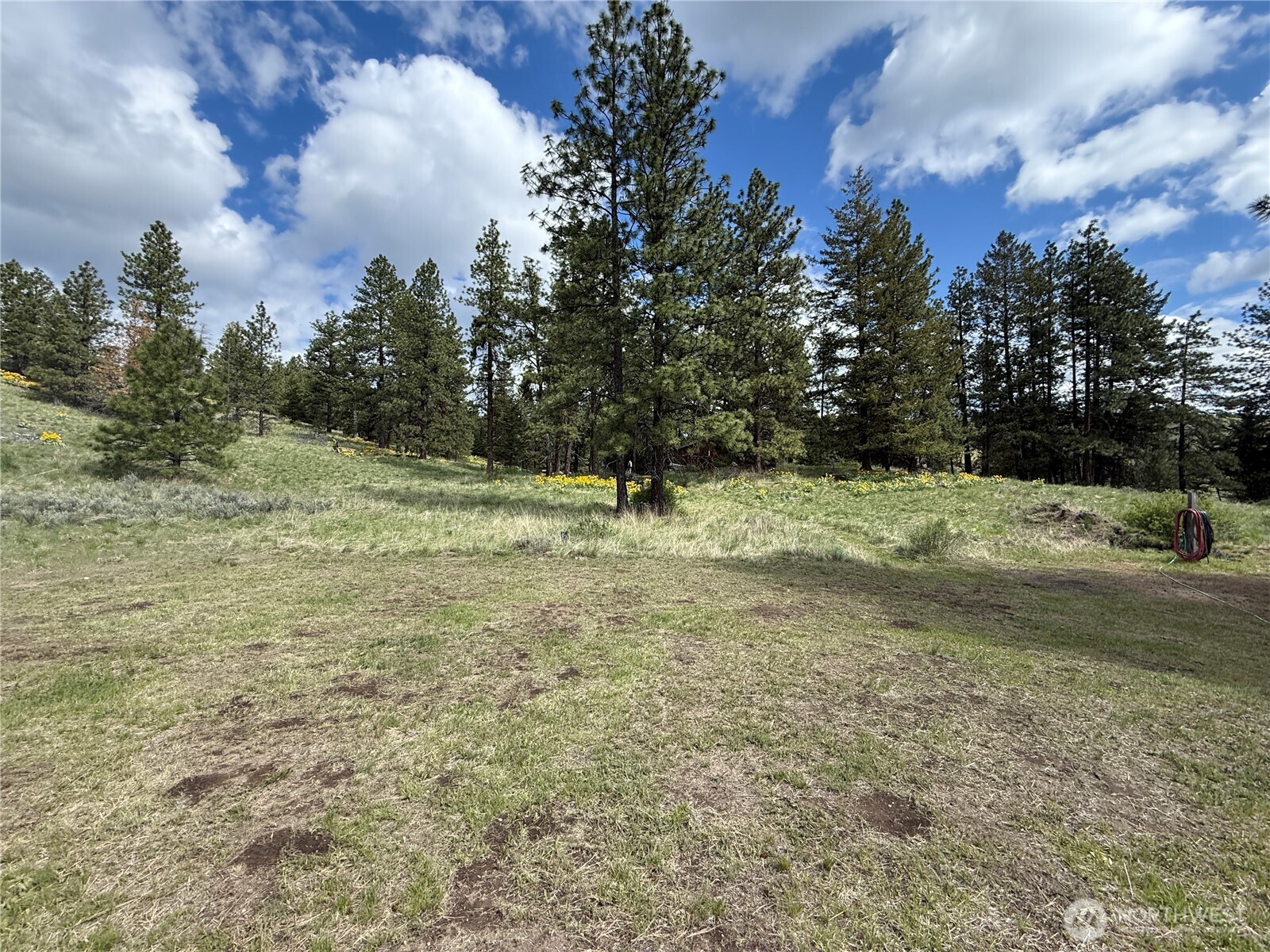 108 Grizzly Loop Republic, WA 99166 - Photo 17 of 36