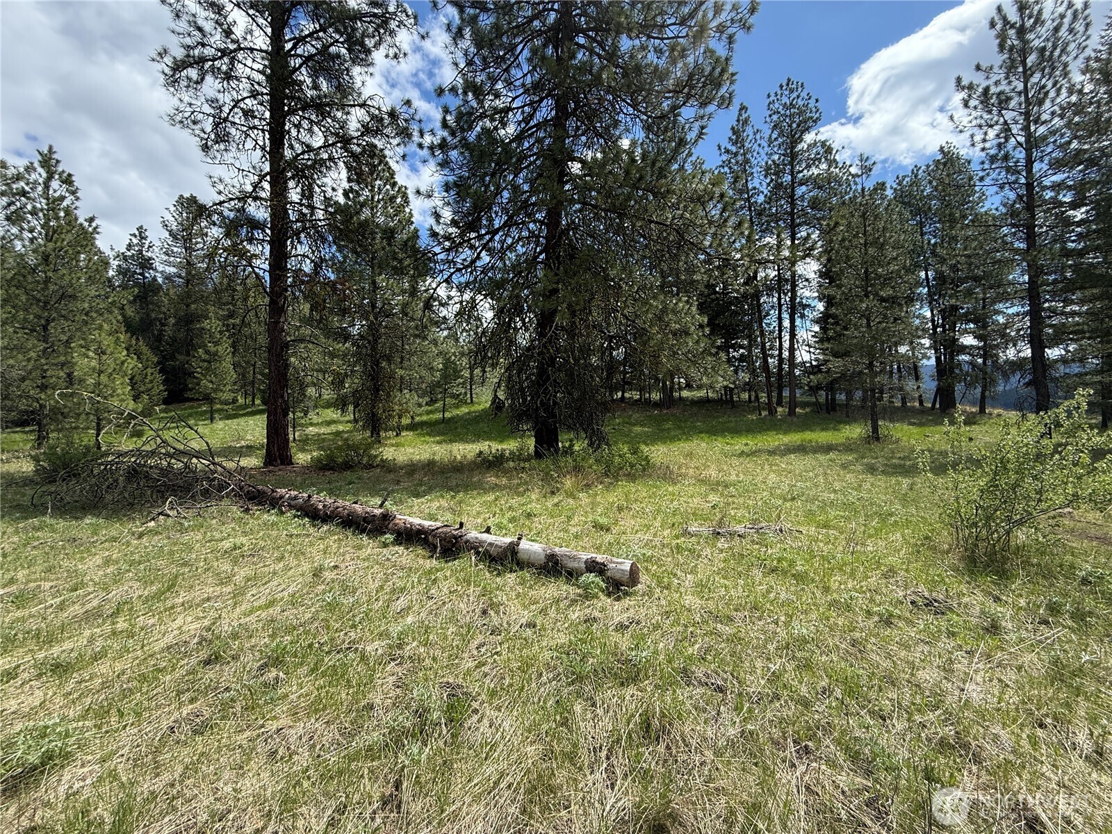 108 Grizzly Loop Republic, WA 99166 - Photo 27 of 36