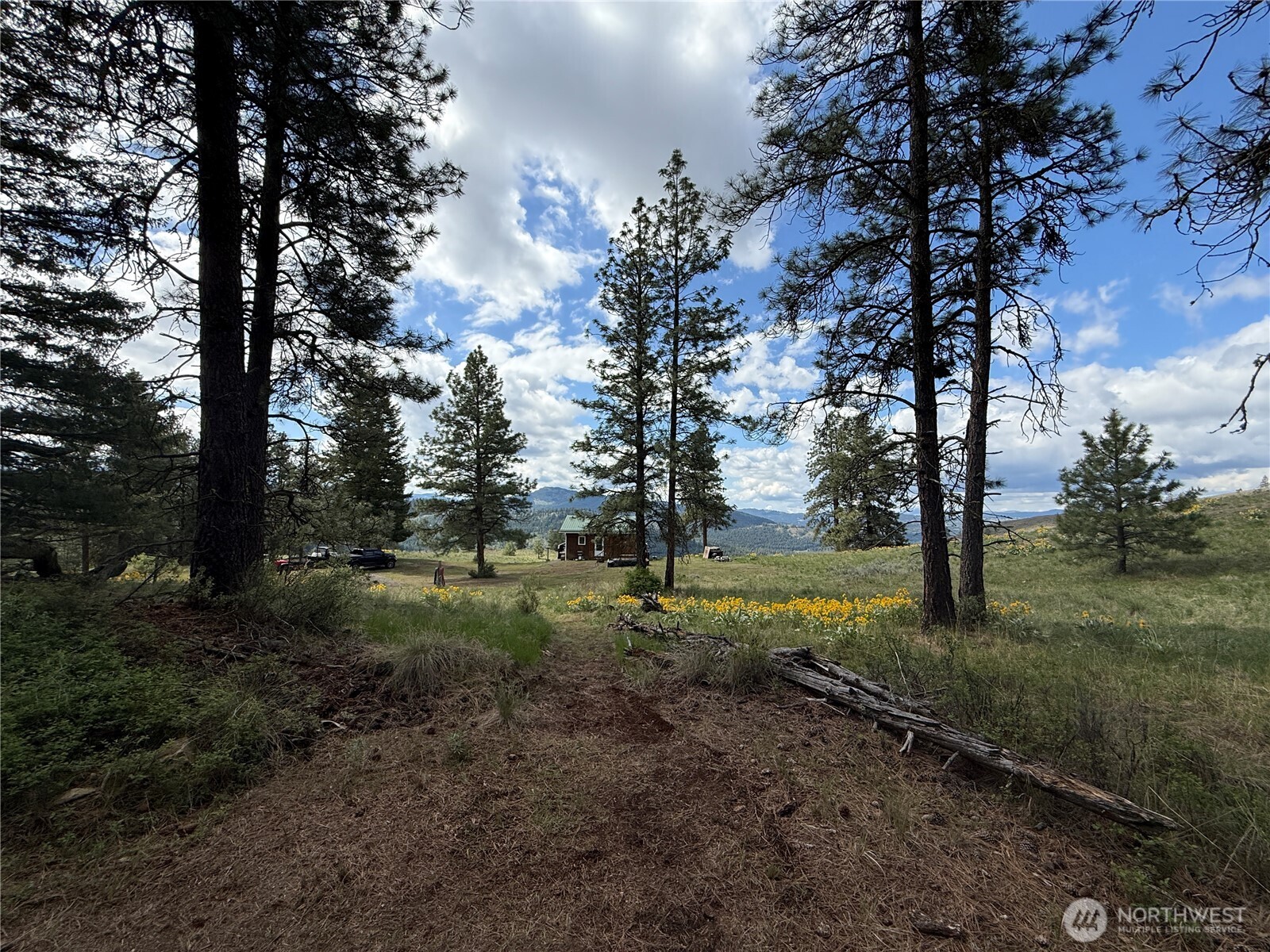 108 Grizzly Loop Republic, WA 99166 - Photo 28 of 36