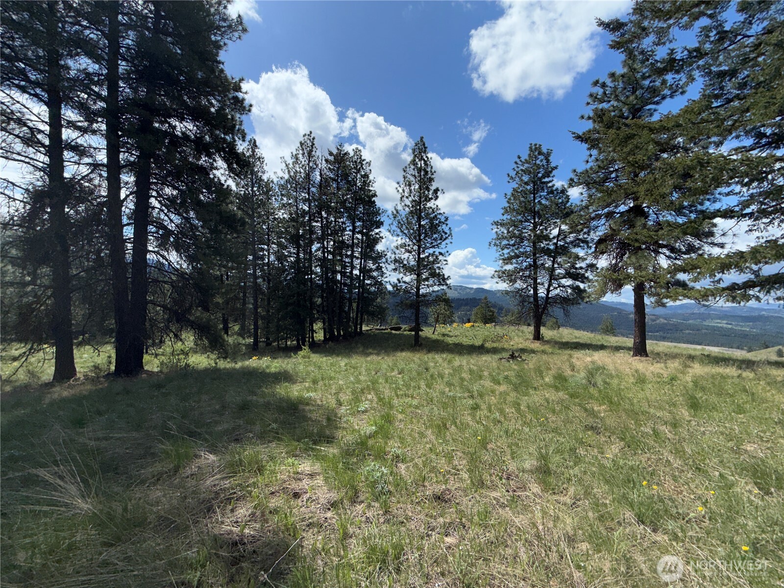 108 Grizzly Loop Republic, WA 99166 - Photo 33 of 36