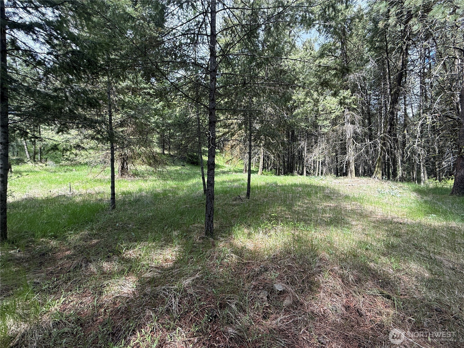 108 Grizzly Loop Republic, WA 99166 - Photo 36 of 36