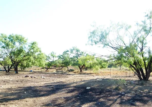a view of yard with green space