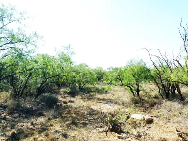 $749,000 | 1558 County Road 334, Gouldbusk, TX 76845