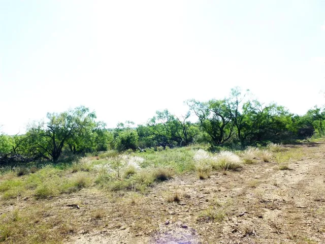 $749,000 | 1558 County Road 334, Gouldbusk, TX 76845