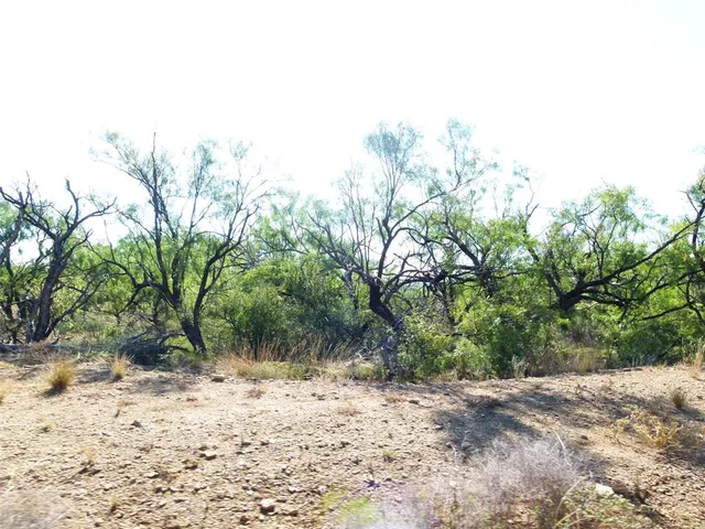 $749,000 | 1558 County Road 334, Gouldbusk, TX 76845