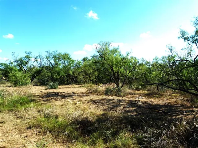 $749,000 | 1558 County Road 334, Gouldbusk, TX 76845