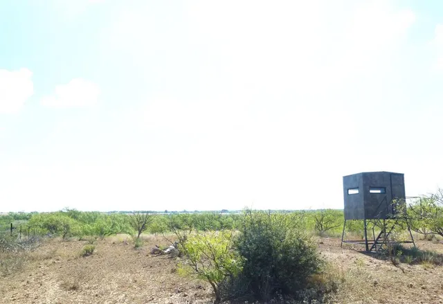 $749,000 | 1558 County Road 334, Gouldbusk, TX 76845