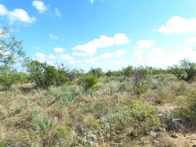 $749,000 | 1558 County Road 334, Gouldbusk, TX 76845