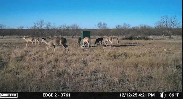 $749,000 | 1558 County Road 334, Gouldbusk, TX 76845