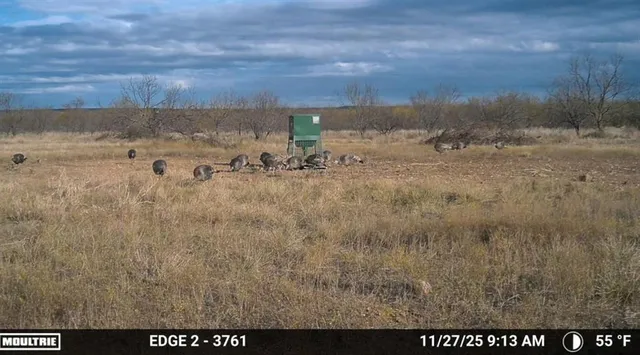 $749,000 | 1558 County Road 334, Gouldbusk, TX 76845