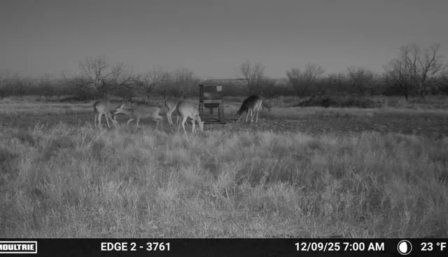 $749,000 | 1558 County Road 334, Gouldbusk, TX 76845