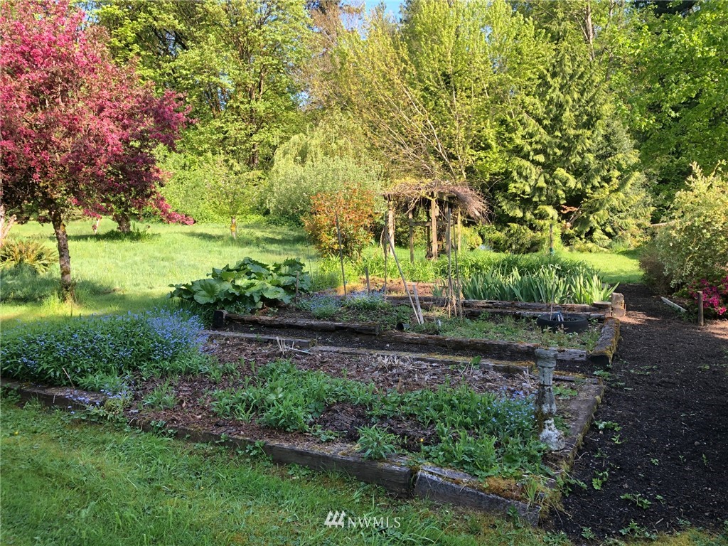 22016 High Bridge Road Monroe, WA 98272 - Photo 32 of 40 a view of backyard with green space