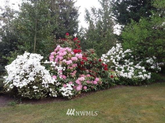 22016 High Bridge Road Monroe, WA 98272 - Photo 33 of 40 a picture of flowers