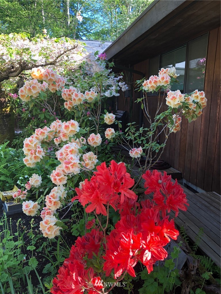 22016 High Bridge Road Monroe, WA 98272 - Photo 34 of 40 a view of a flower