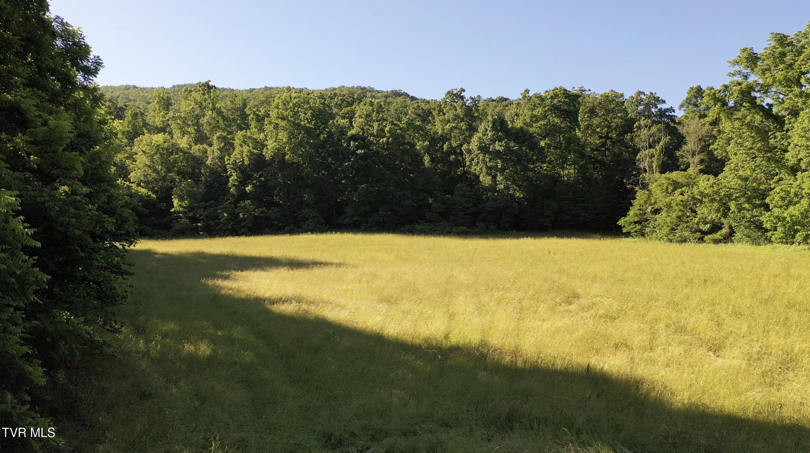 3b Rd Greeneville Tn 37743 Road Greeneville, TN 37743 - Photo 1 of 25 _Pic1 (9)