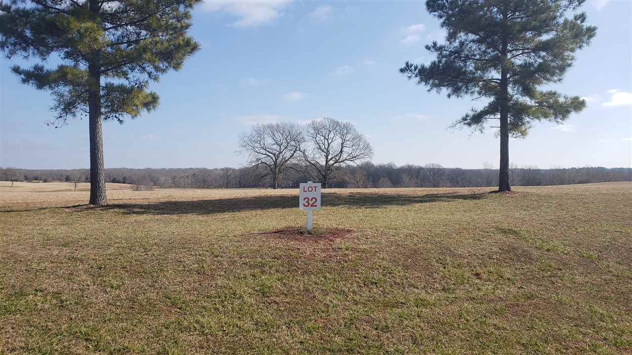 a view of a lake with a palm tree