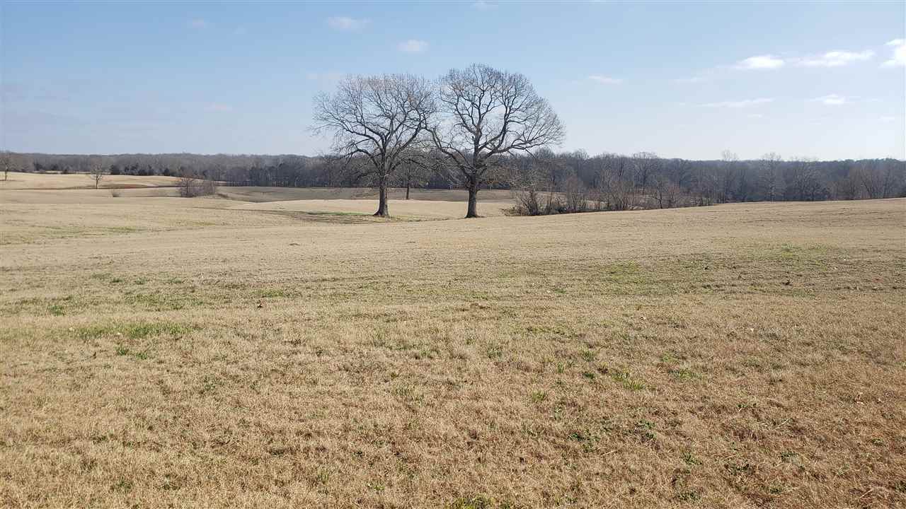 190 Hutton Way Williston, TN 38076 - Photo 2 of 4