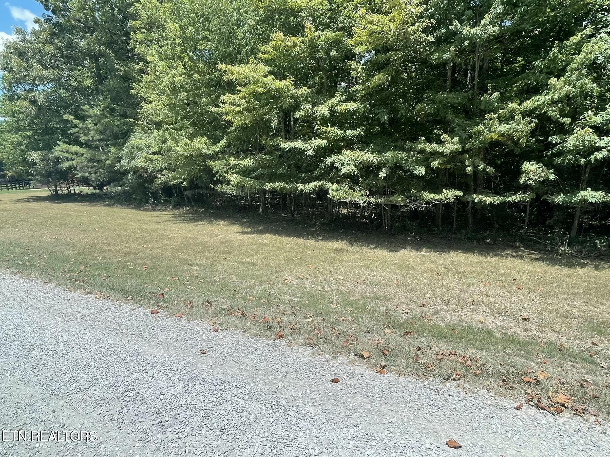 Long Branch Road Spencer, TN 38585 - Photo 4 of 8 tempImagew0Fm7J