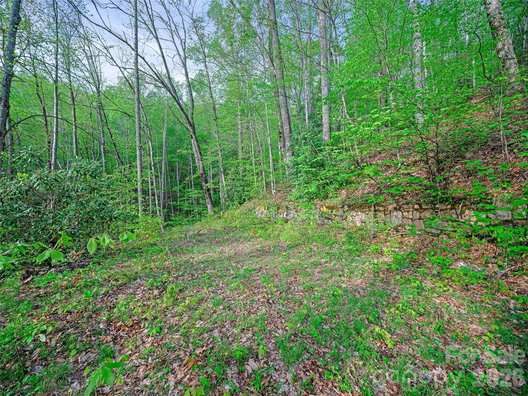 1161 Deep Gap Road Burnsville, NC 28714 - Photo 7 of 14