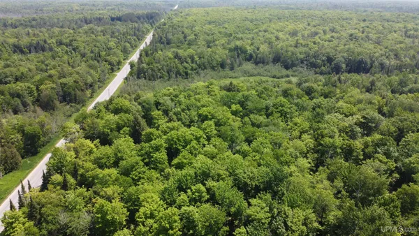 $245,000 | On East Shingleton Road, Shingleton, MI 49884