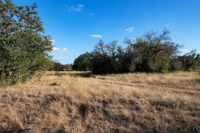a view of a large yard with lots of green space