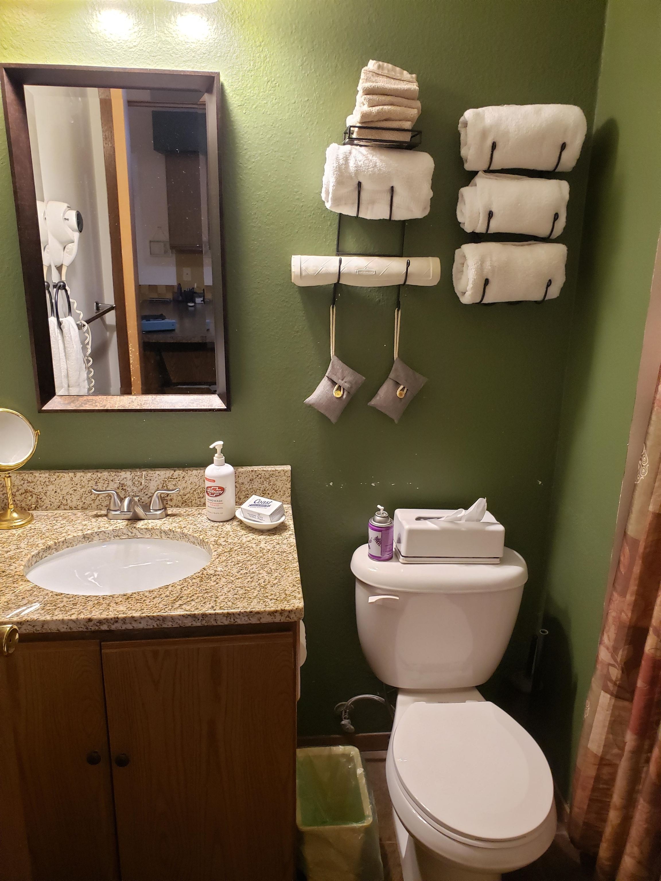 1093 Canyon Road, Unit 207 Wisconsin Dells, WI 53965 - Photo 10 of 18 Gallery Image 10